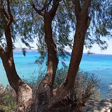 The House Διαμέρισμα Κάρυστος