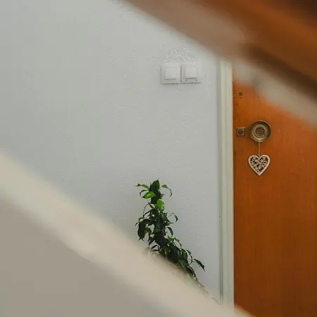 The House *